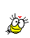 nofertiri9