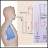 La spirometria per la sorveglianza sanitaria dei lavoratori e dei fumatori La spirometria per la sorveglianza sanitaria dei lavoratori e dei fumatori